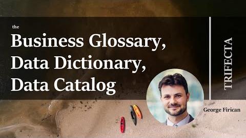 the-business-glossary-data-dictionary-data-catalog-trifecta-webinar