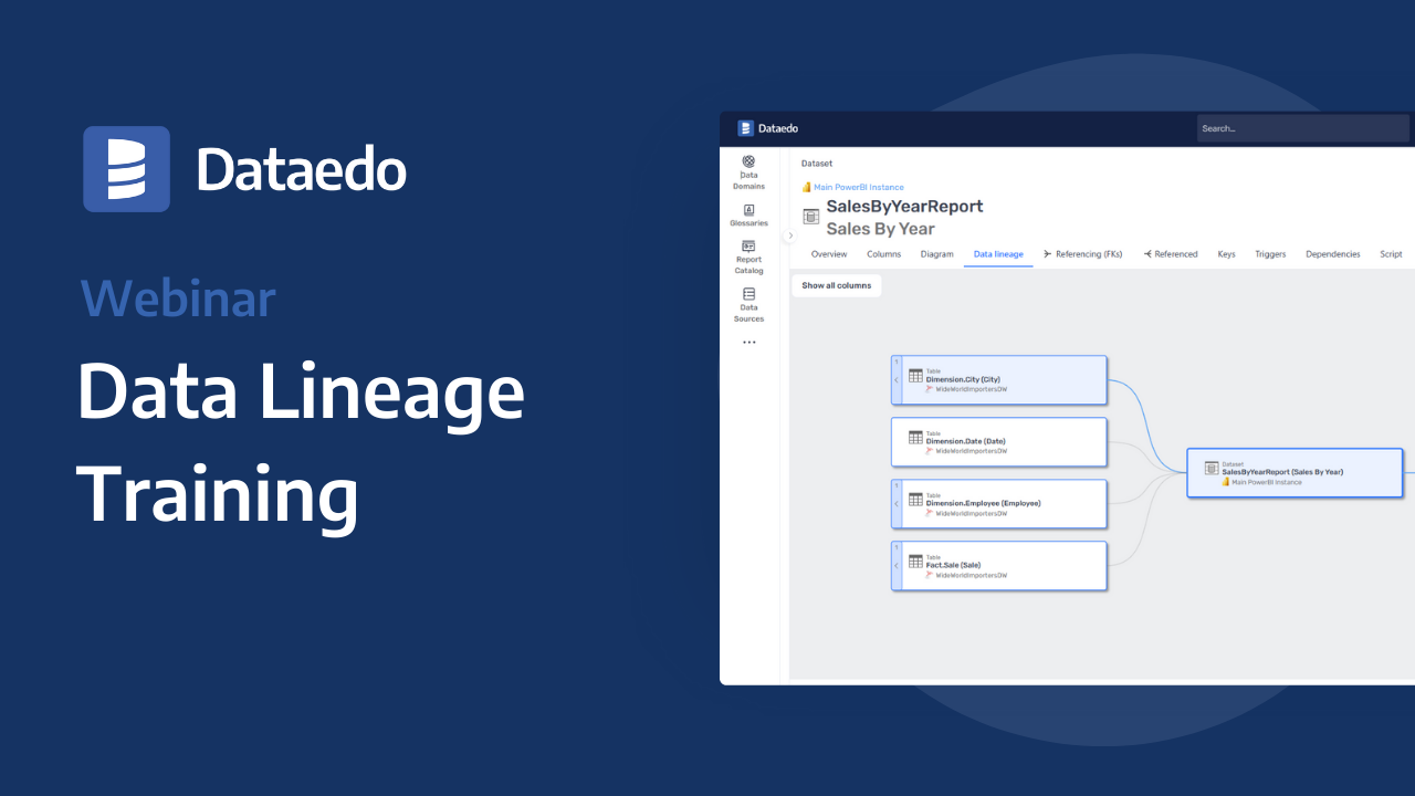 data-lineage-in-dataedo-training-webinar