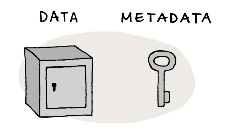 Dataedo