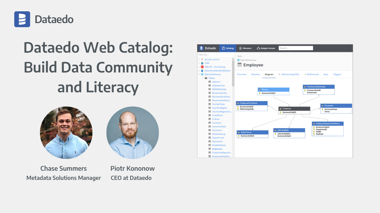 dataedo-web-catalog-build-data-community-and-literacy