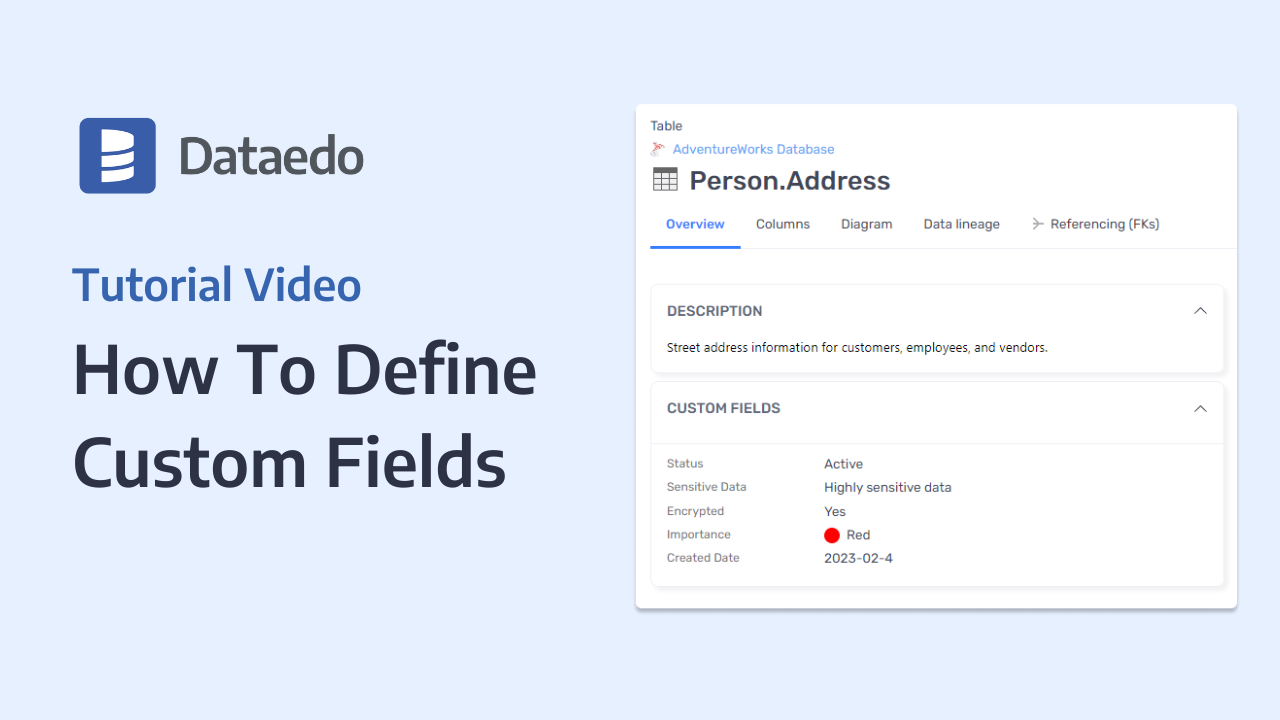 how-to-define-custom-fields