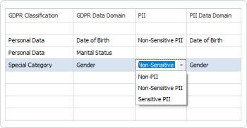 Sensitive Data Discovery icon